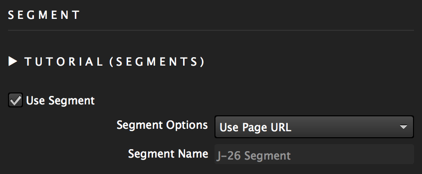 Mailchimp segment options